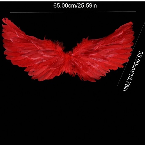 Angel & Devil Feather 
Wings Photo Prop Costume - Picture 3 of 7